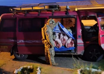 Comisan más de 18.000 kilos de carne de cerdo de contrabando