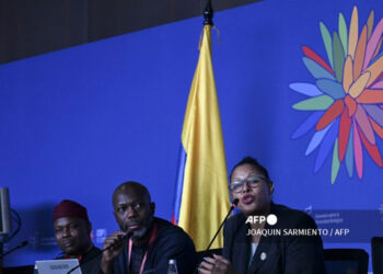 cop16