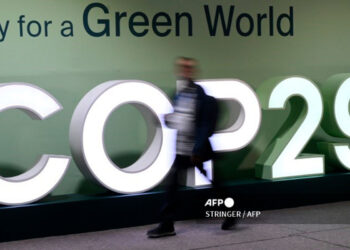 cop_29.jpg