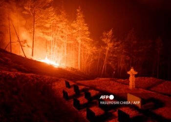 corea_incendios.jpg
