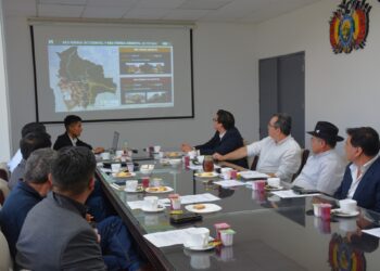 Empresarios internacionales muestran interés en invertir en el Ferroviario Bioceánico