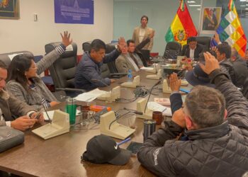 Comisión de Diputados aprueba dos proyectos de créditos por $us 400 millones