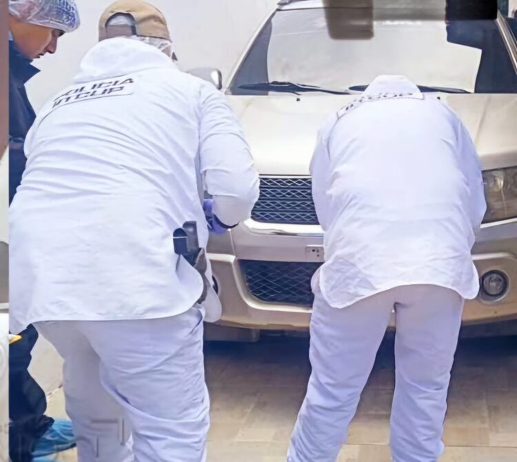 Los peritos del IDIF revisan la vagoneta