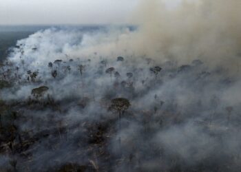 Incendios en Brasil