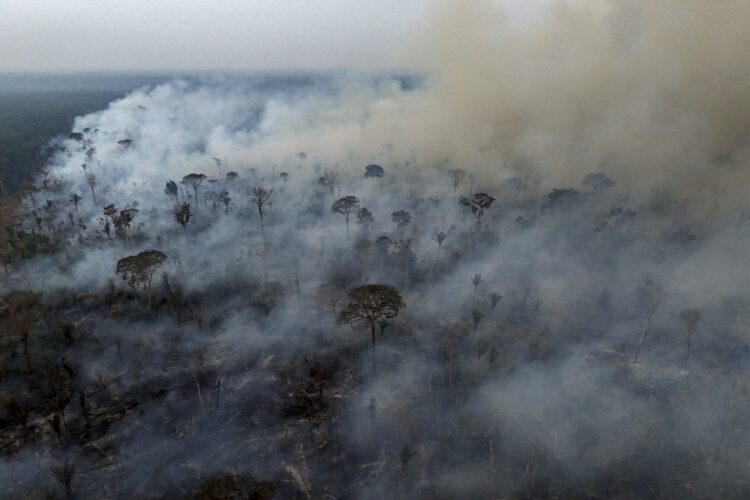 Incendios en Brasil