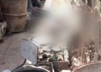 Un hombre fue hallado sin vida en su casa; sus perro devoraron su cuerpo.