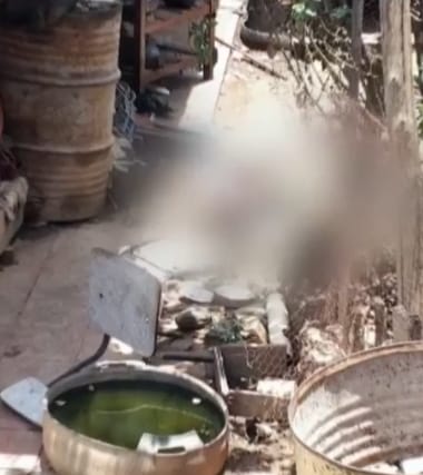 Un hombre fue hallado sin vida en su casa; sus perro devoraron su cuerpo.