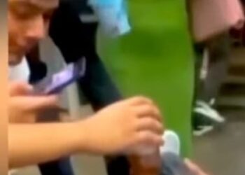 Dos hombres le dieron de beber alcohol a una tortuga.