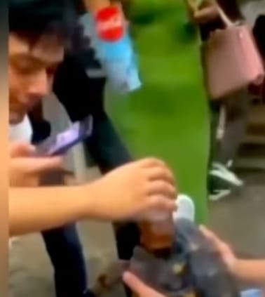 Dos hombres le dieron de beber alcohol a una tortuga.