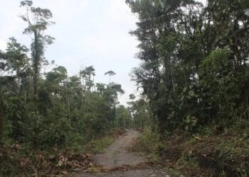 deforestacion_ecuador.jpg