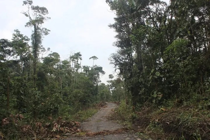 deforestacion_ecuador.jpg