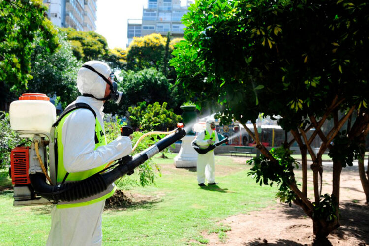 dengue_argentina.jpg