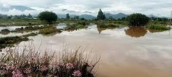 El Senamhi activa alerta por posibles desbordes de ríos en Chuquisaca, Potosí y Tarija.