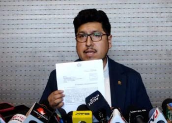 Comisión de Diputados aprueba crédito de $us 250 millones para atender incendios
