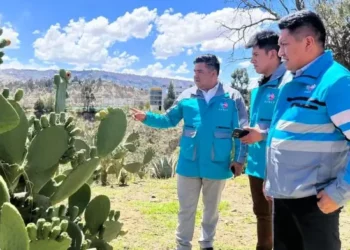 Defensoría identifica a madre e hijo agredidos verbalmente en Achumani y toma ‘acciones’