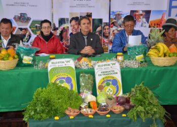 alimentos
