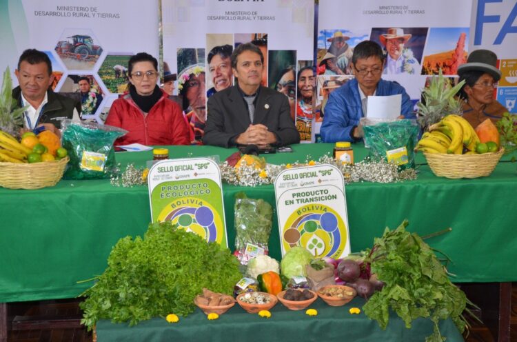 alimentos