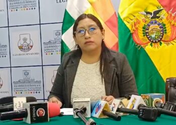 Comisión de Constitución debatirá la próxima semana los proyectos de ley en materia electoral