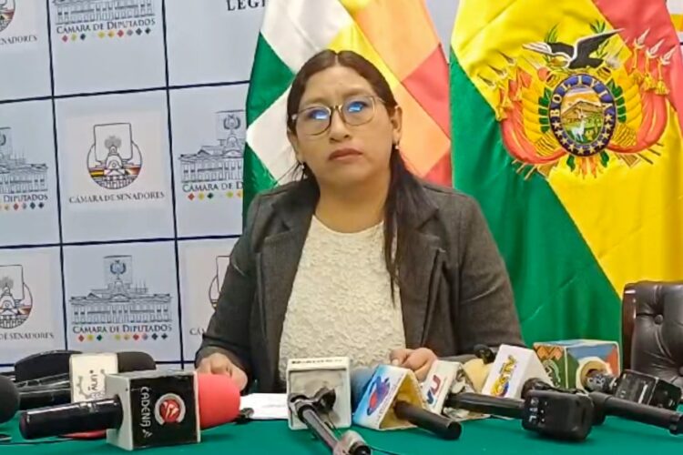 Comisión de Constitución debatirá la próxima semana los proyectos de ley en materia electoral