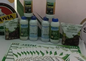 EEPAF cuadruplica ingresos y proyecta 10 plantas con Bs 509 millones