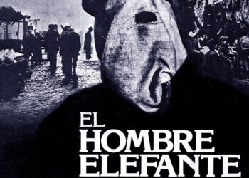 elefante.jpg