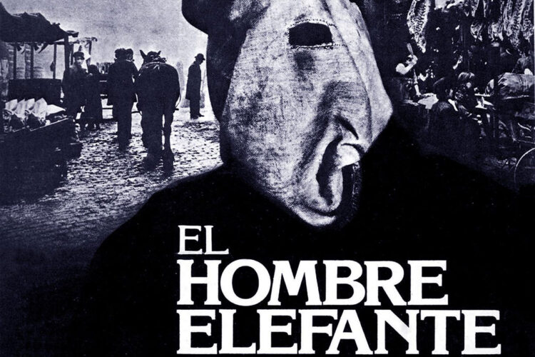 elefante.jpg