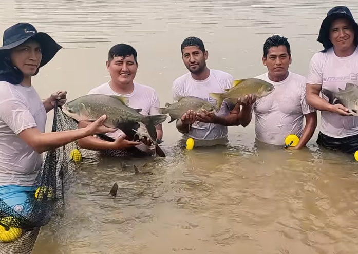 Emapa impulsa consumo de pescado en Semana Santa con ofertas accesibles