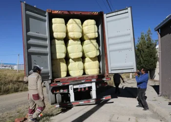 Bolivia exporta fibra de llama a China con valor de $us 128.967
