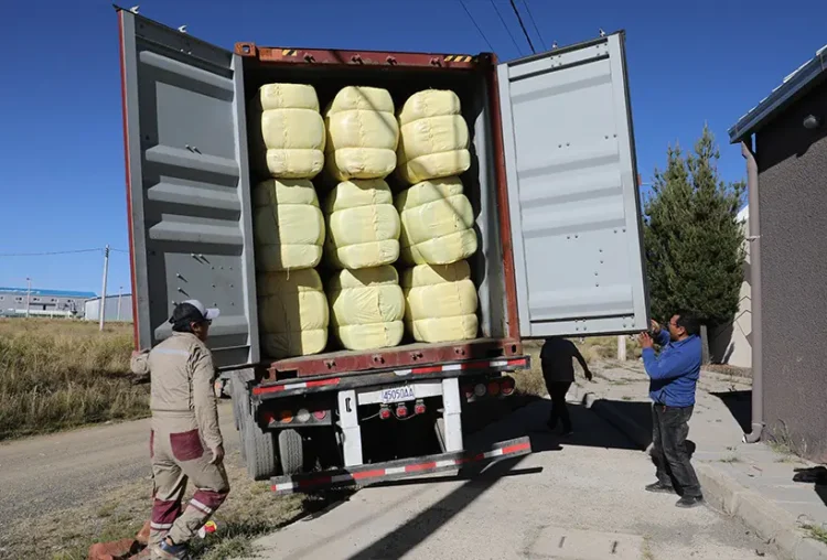 Bolivia exporta fibra de llama a China con valor de $us 128.967