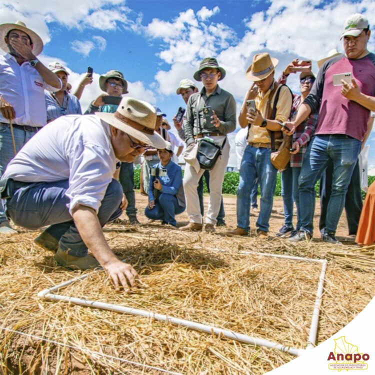 productores