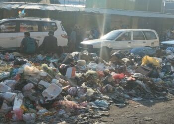 La basura acumulada en Cochabamba cerca de mercados, plazas, parques y hospitales.