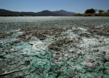 El Fenómeno de la Niña pone en emergencia de sequía algunas comunidades. Foto: APG