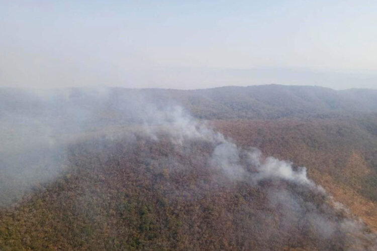 La CAO dice que solo el 20% de focos de calor desde julio están en predios agropecuarios