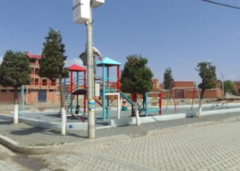 Árboles en el Distrito 14 de El Alto