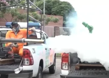 Alcaldía de Santa Cruz inicia fumigaciones por chikungunya