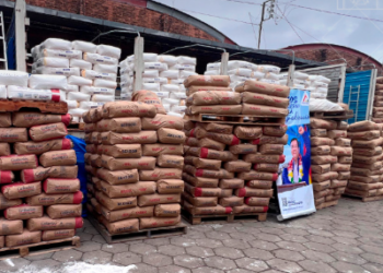 Aduana comisa más de 52 toneladas de harina argentina de contrabando en Santa Cruz