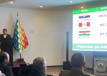 Más de 10.000 hectáreas de hoja de coca se erradicaron en 2024