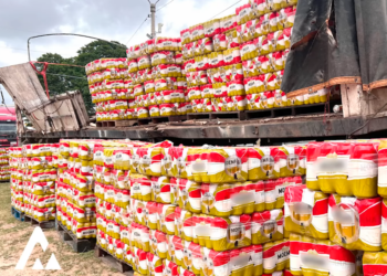 Aduana comisa 60 toneladas de mercancías de contrabando valuadas en Bs 280.000
