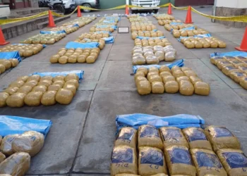 La droga decomisada en el operativo