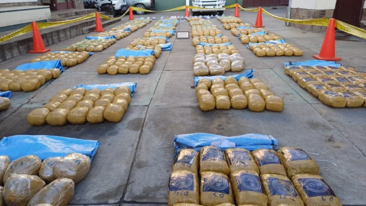 La droga decomisada en el operativo