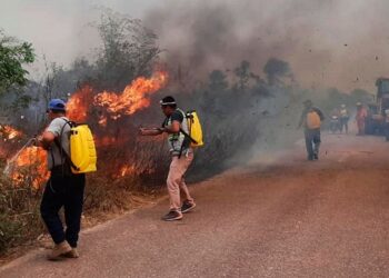 Expertos de Japón capacitarán a personal de la ABE para georreferenciación satelital de incendios.