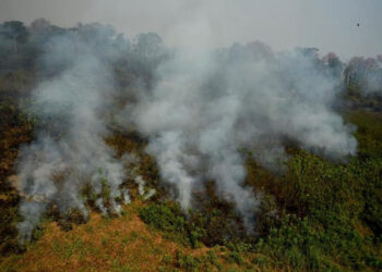 incendios_brasil_recuento.jpg