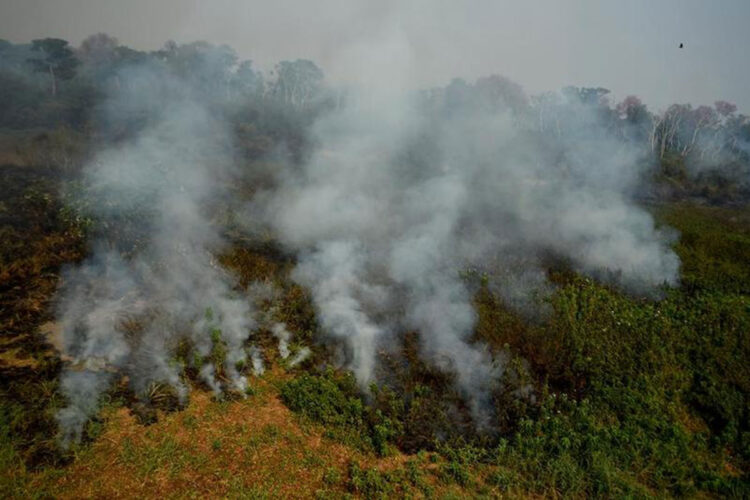 incendios_brasil_recuento.jpg