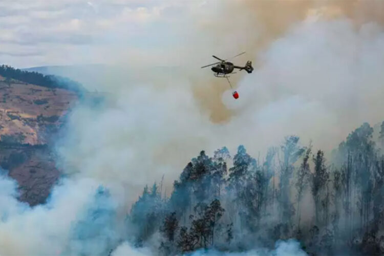 incendios_ecuador.jpg