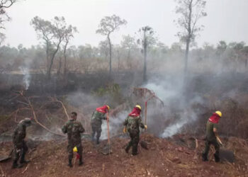 incendios_peru.jpg