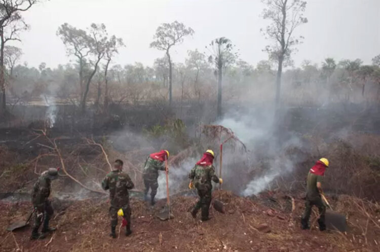 incendios_peru.jpg
