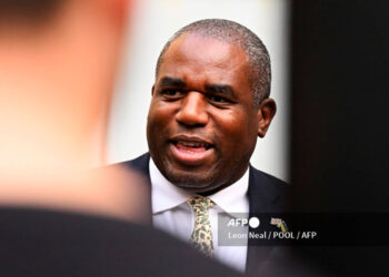 lammy.jpg