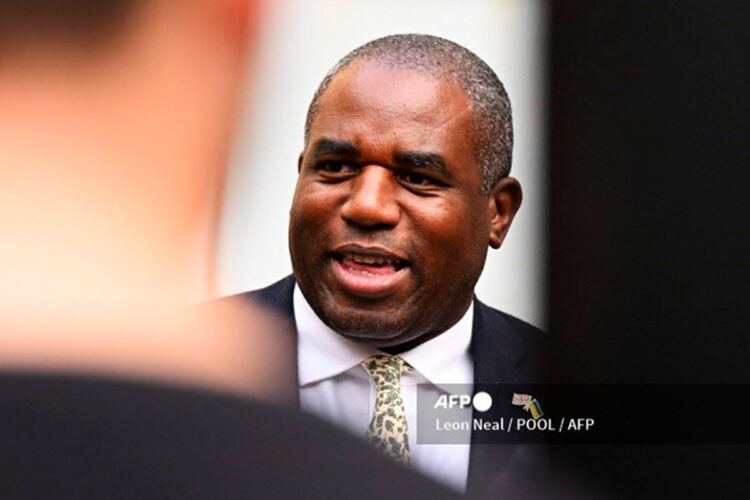 lammy.jpg