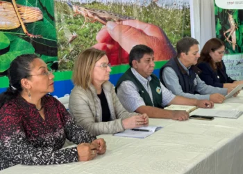 Bolivia acuerda red regional contra la plaga de langosta sudamericana