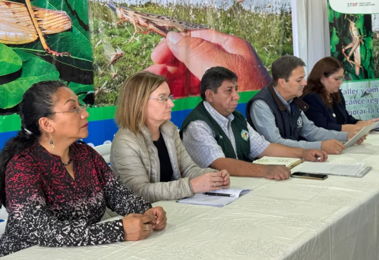 Bolivia acuerda red regional contra la plaga de langosta sudamericana